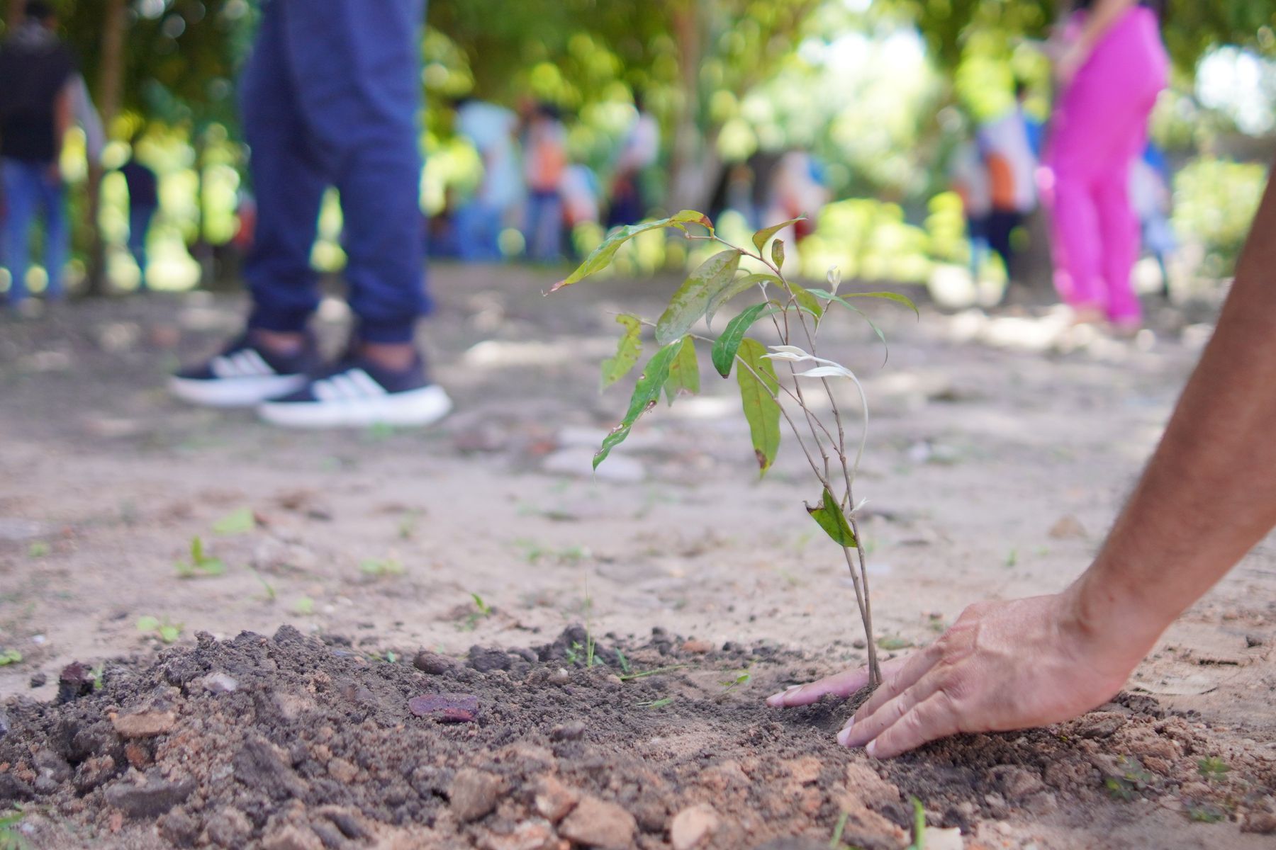 SEMMARH promove semana do Meio Ambiente com ações educativas e sustentáveis