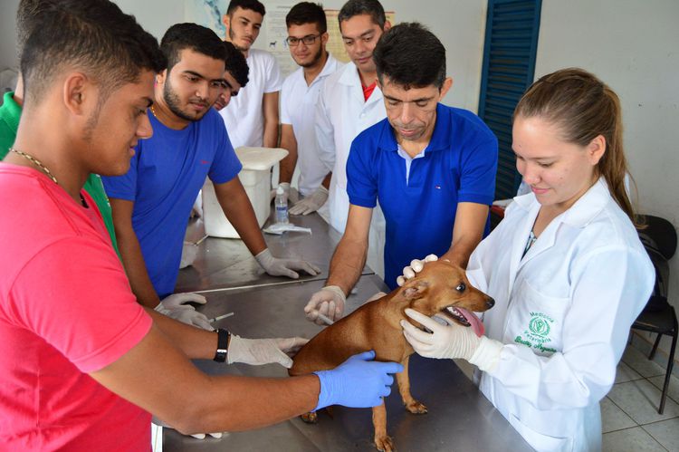 Centro de Zoonoses realiza treinamento para campanha de vacinação