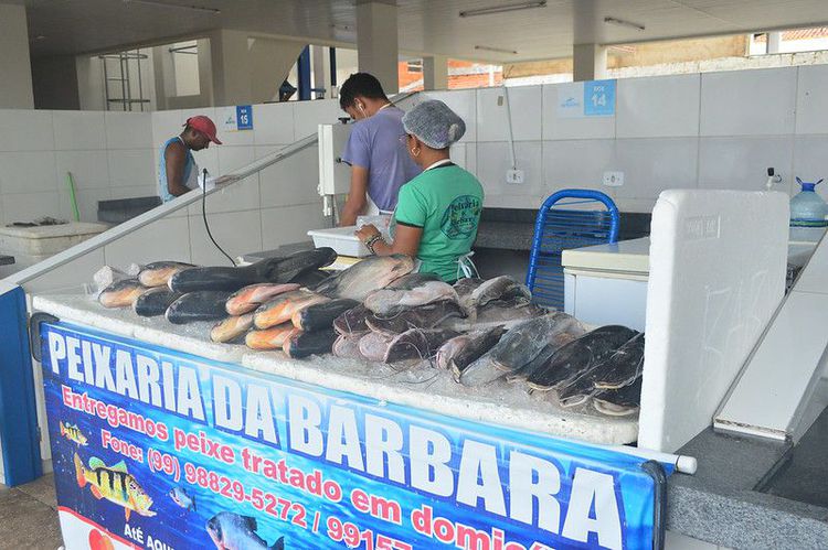 Equipe da Secretaria de Agricultura faz visita técnica ao Mercado do Peixe