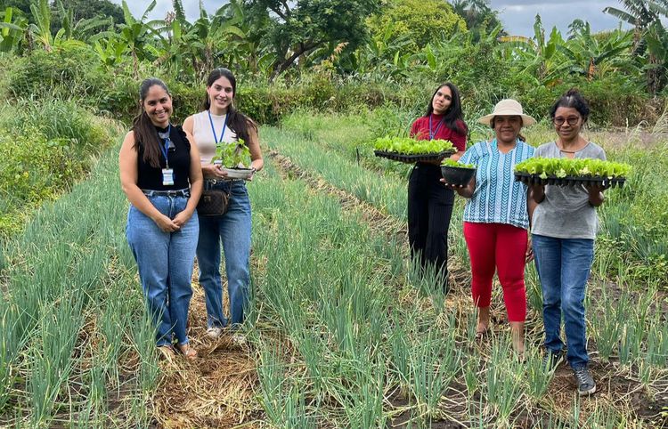 Prefeitura de Imperatriz lança Programa de Aquisição de Alimentos na próxima quinta-feira (29)
