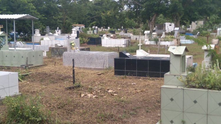 Cemitérios passam por manutenção e limpeza em ação iniciada na primeira semana do ano