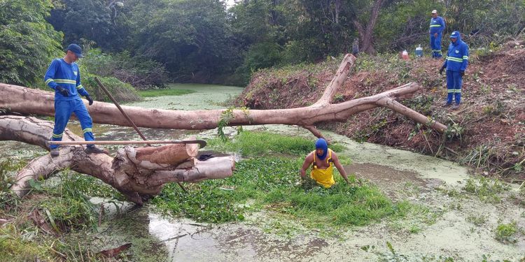 Prefeitura realiza limpeza e desobstrução do riacho Cacau
