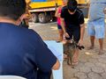 O projeto vai aproximar os serviços de vigilância em zoonoses da população, levando ações de prevenção e cuidado com animais diretamente aos bairros.