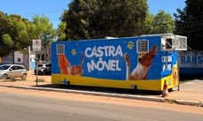 Castranóvel